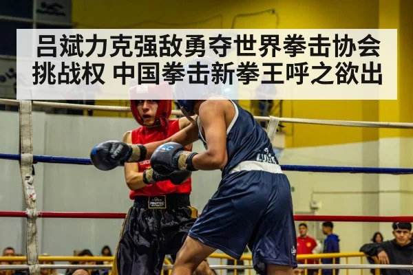 吕斌力克强敌勇夺世界拳击协会挑战权 中国拳击新拳王呼之欲出