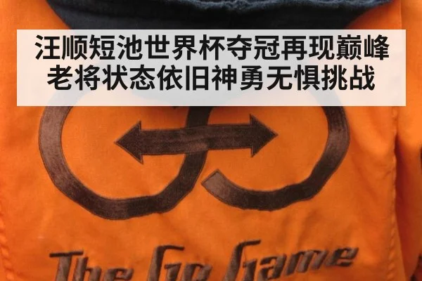 汪顺短池世界杯夺冠再现巅峰 老将状态依旧神勇无惧挑战