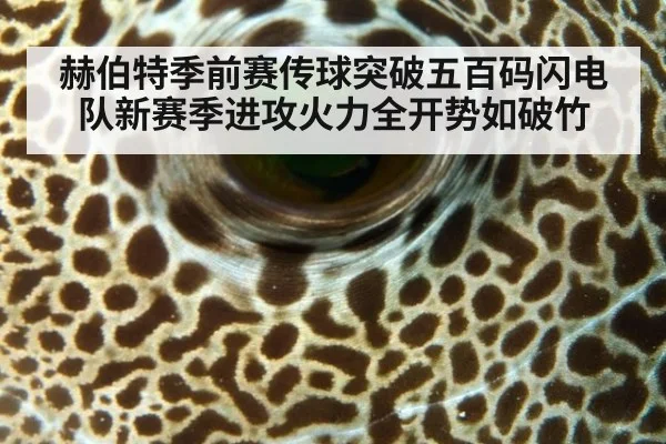 赫伯特季前赛传球突破五百码闪电队新赛季进攻火力全开势如破竹